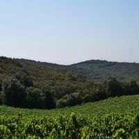 Photo de France - La randonnée du lac des Olivettes